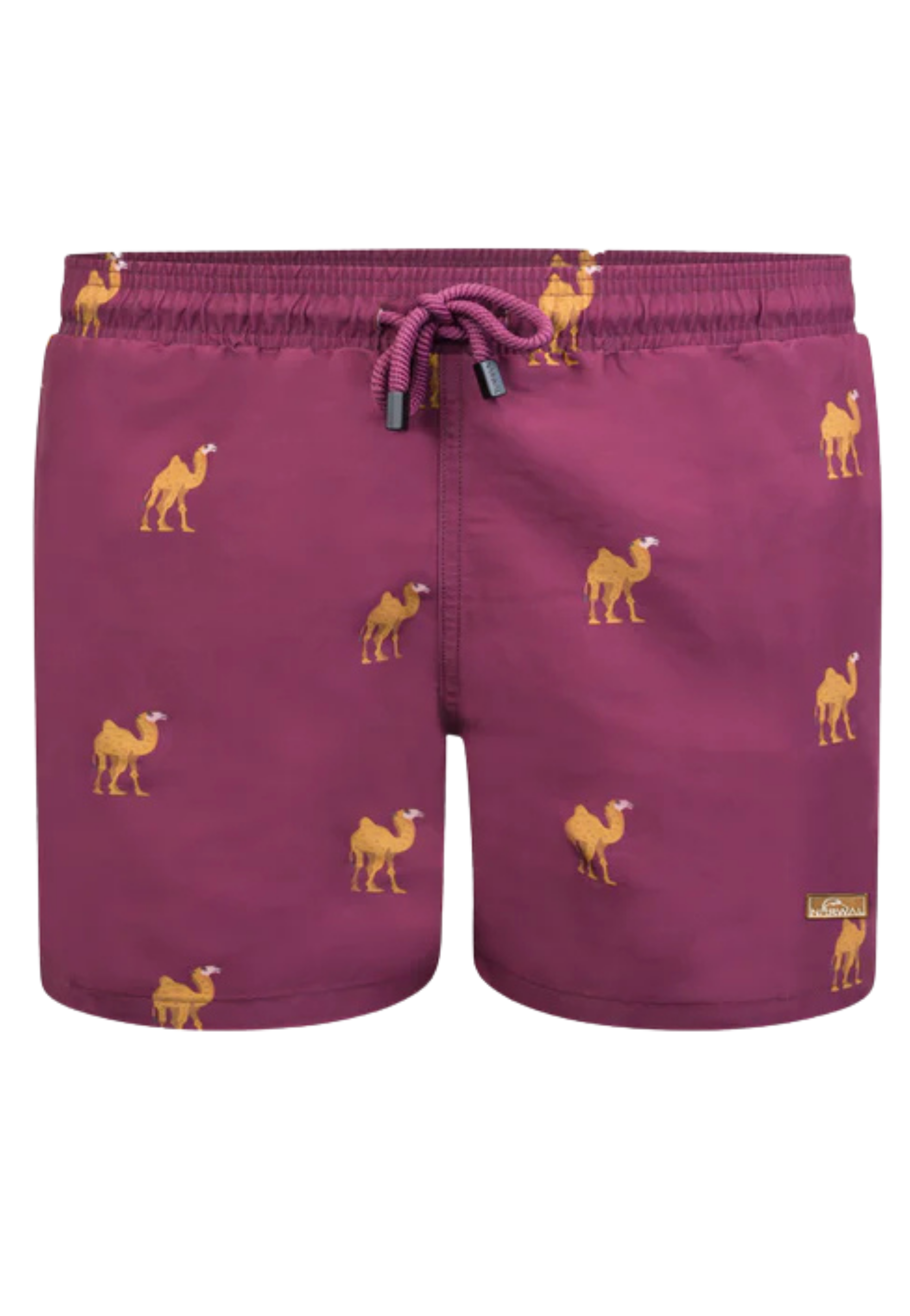 Camel Kids