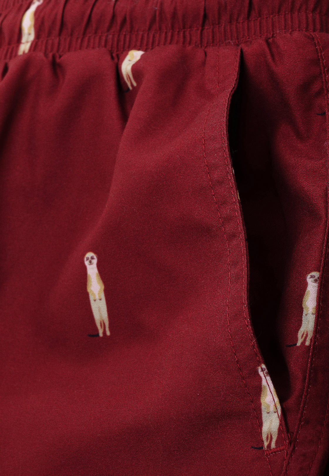 Meerkat Vader & Zoon