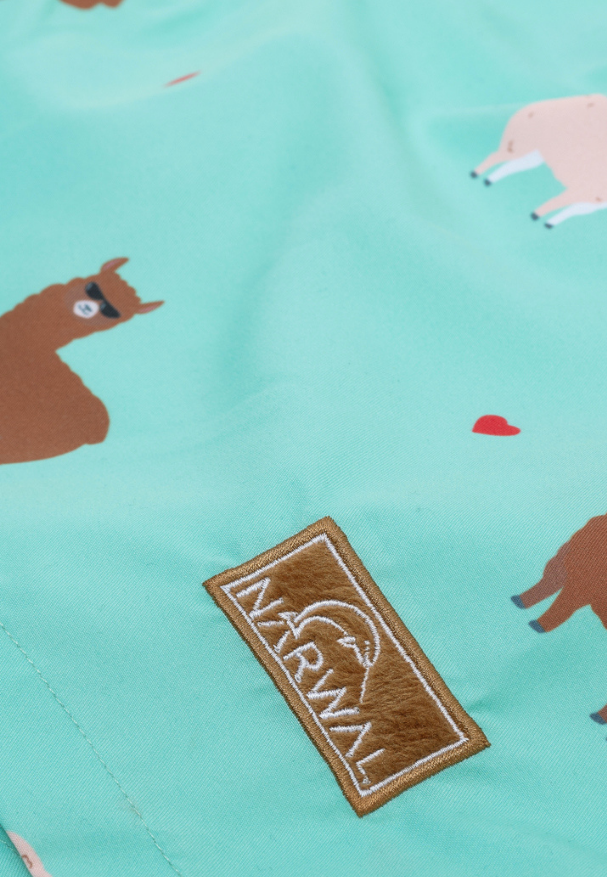 Alpaca Kinder